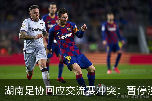 湖南足协回应交流赛冲突：暂停涉事人员参加省内一切足球活动