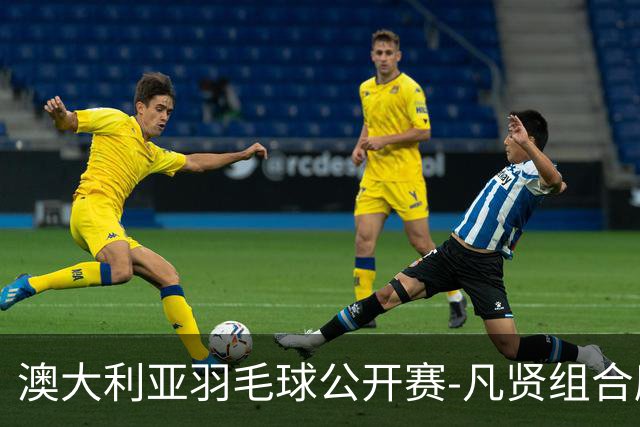 澳大利亚羽毛球公开赛-凡贤组合鏖战进决赛 混双中国揽冠亚