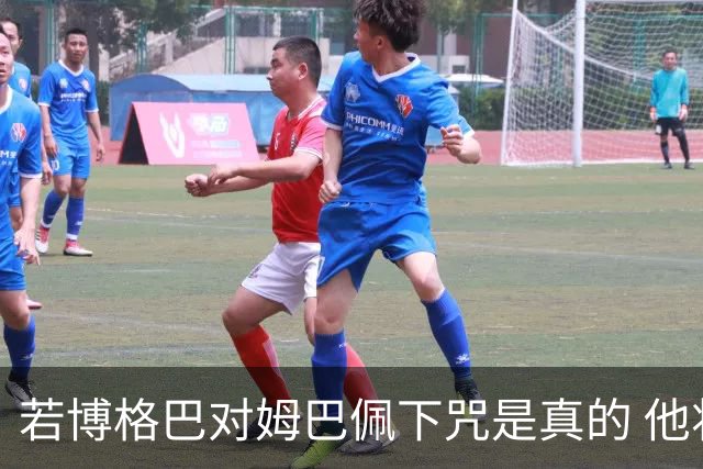 若博格巴对姆巴佩下咒是真的 他将再也进不了法国队