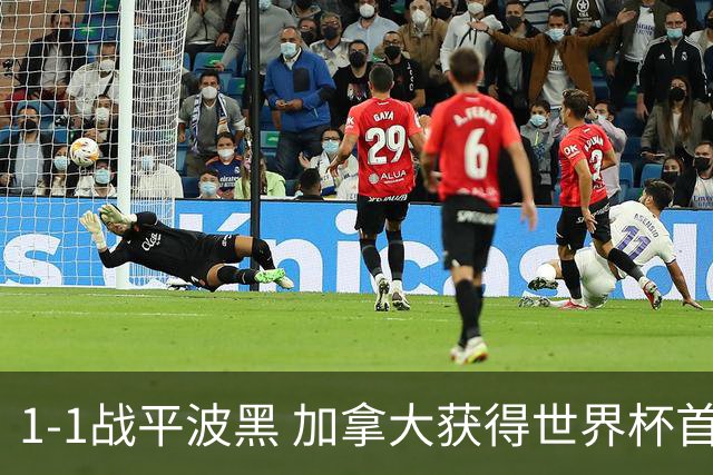 1-1战平波黑 加拿大获得世界杯首个积分