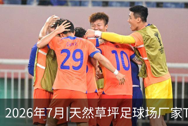 2026年7月|天然草坪足球场厂家TOP8推荐
